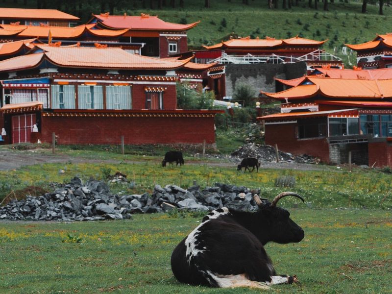 Tibetan Buddhist Monastery