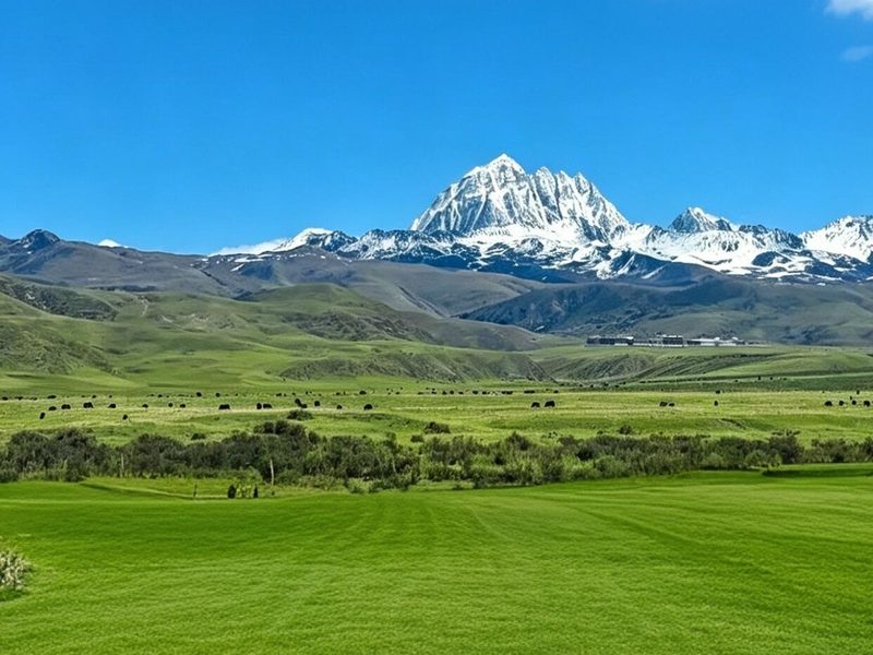 Tagong Grassland