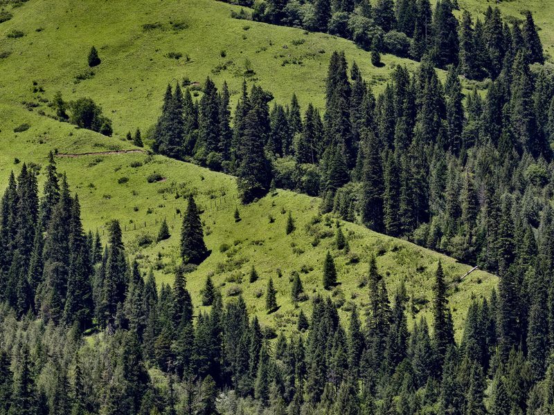 Siguniang Mountain