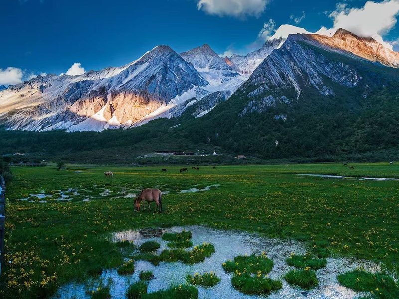 Luorong Pasture