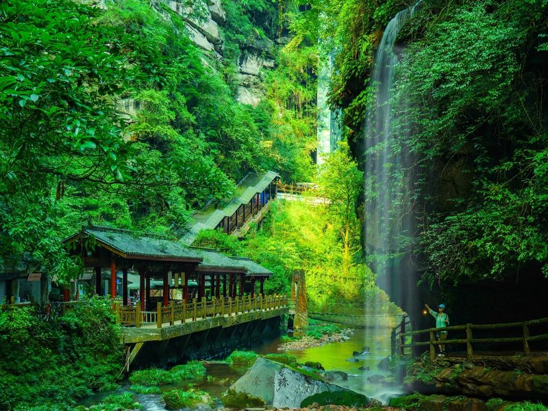 Mount Qingcheng forest trail