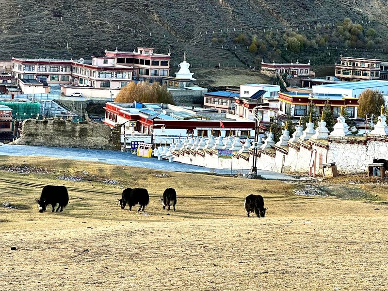 Litang