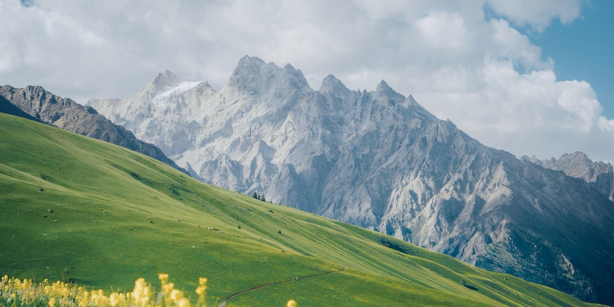 Green alpine grassland beneath jagged snow peaks near Mount Genyen