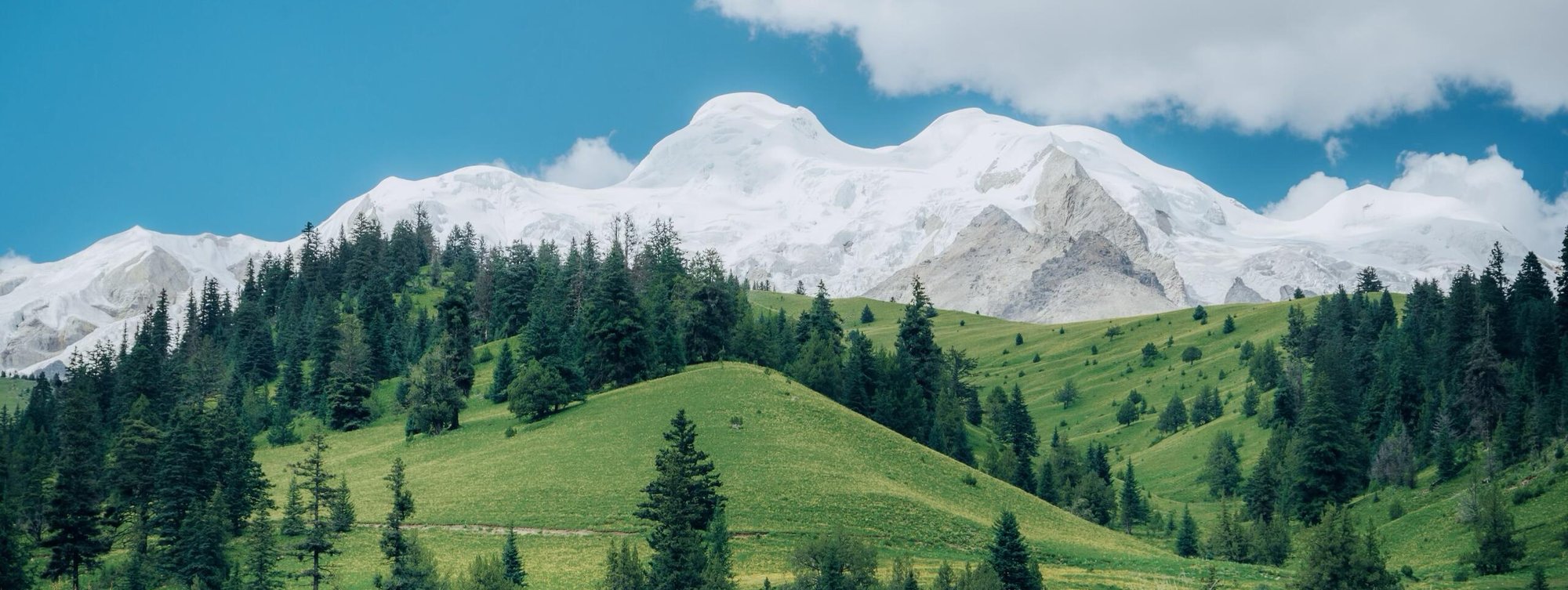Green alpine grassland beneath snow peaks, Western Sichuan
