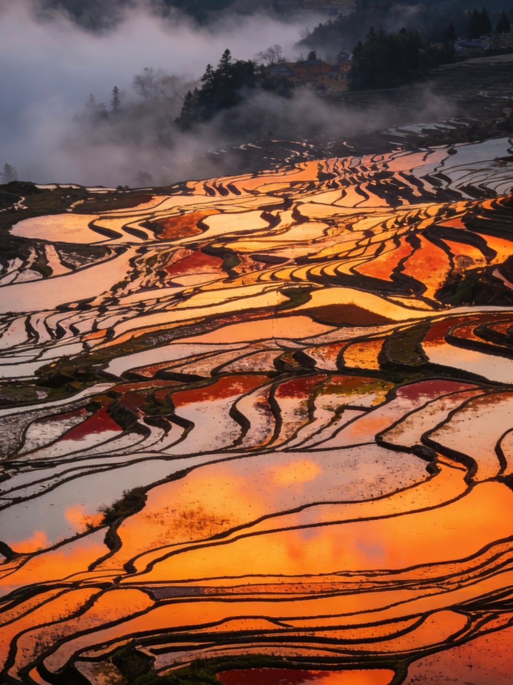 Yuanyang Rice Terraces, southern Yunnan