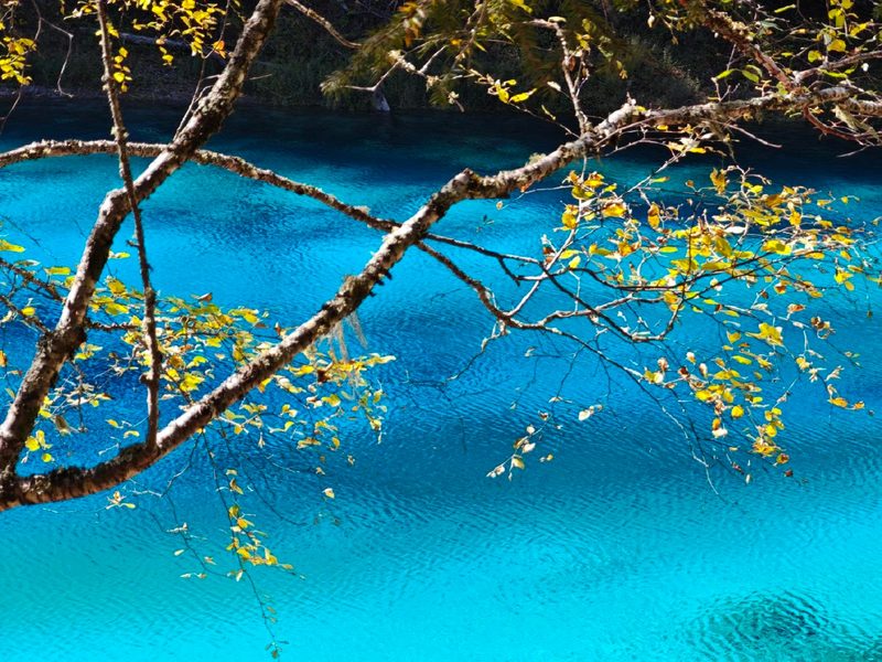 Five-Flower Lake