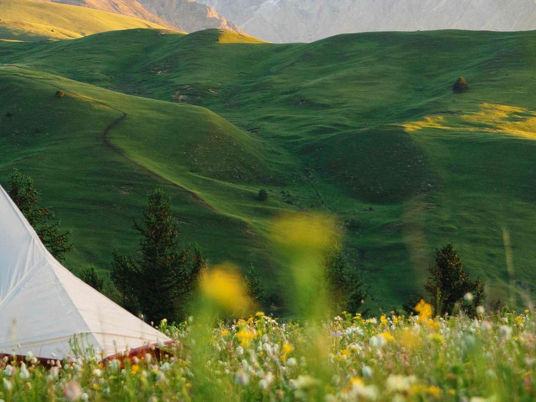 Tagong Grassland yaks and Yala Snow Mountain