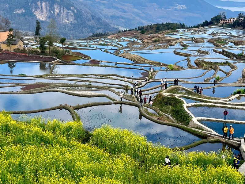 Yuanyang Rice Terraces