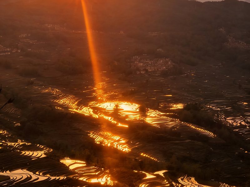 Terrace Sunset