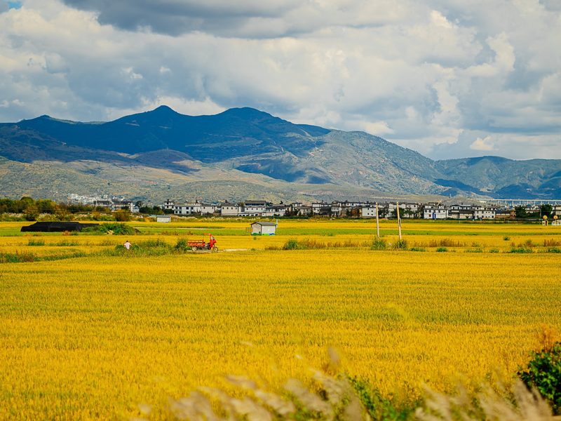 Yunnan Countryside
