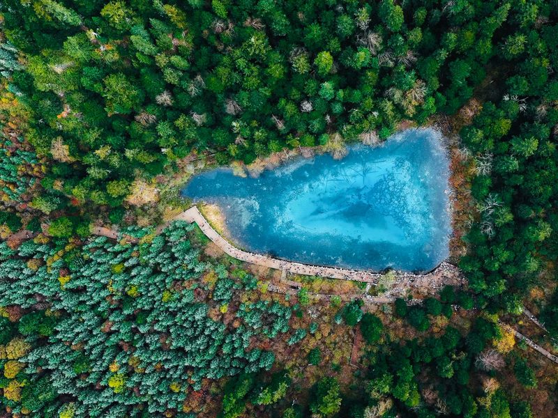 Five-Color Pond