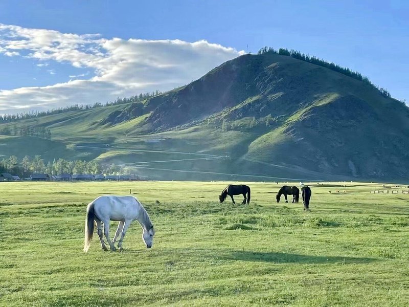 Tagong Grassland