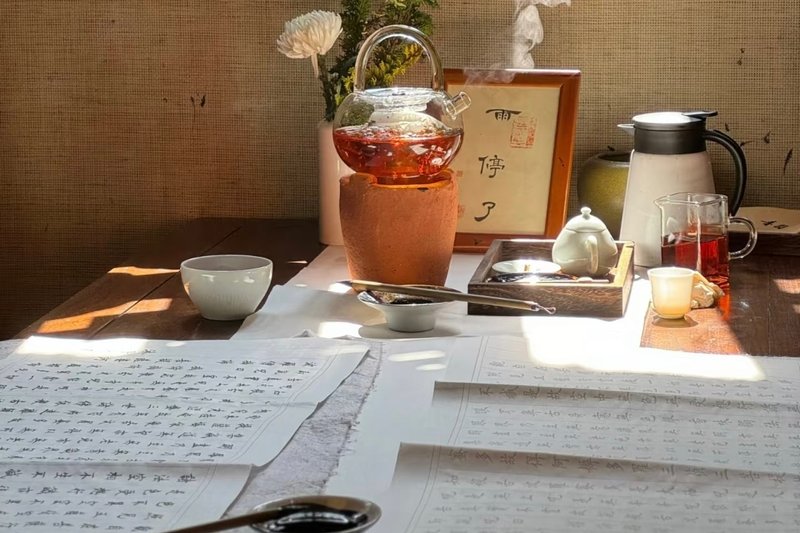 Traditional Chinese medicine clinic near Wenshu Monastery, Chengdu