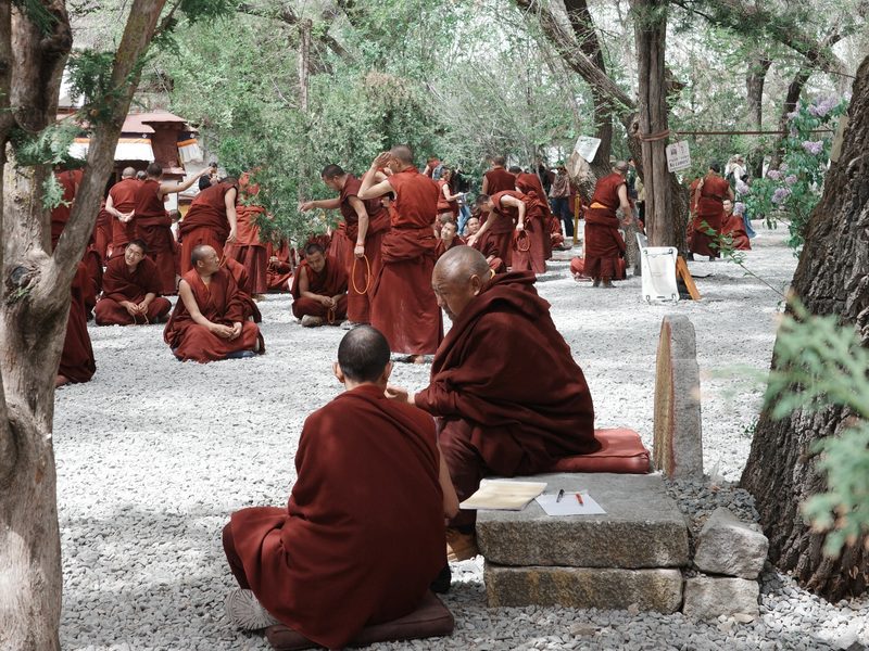 Monastic Debate