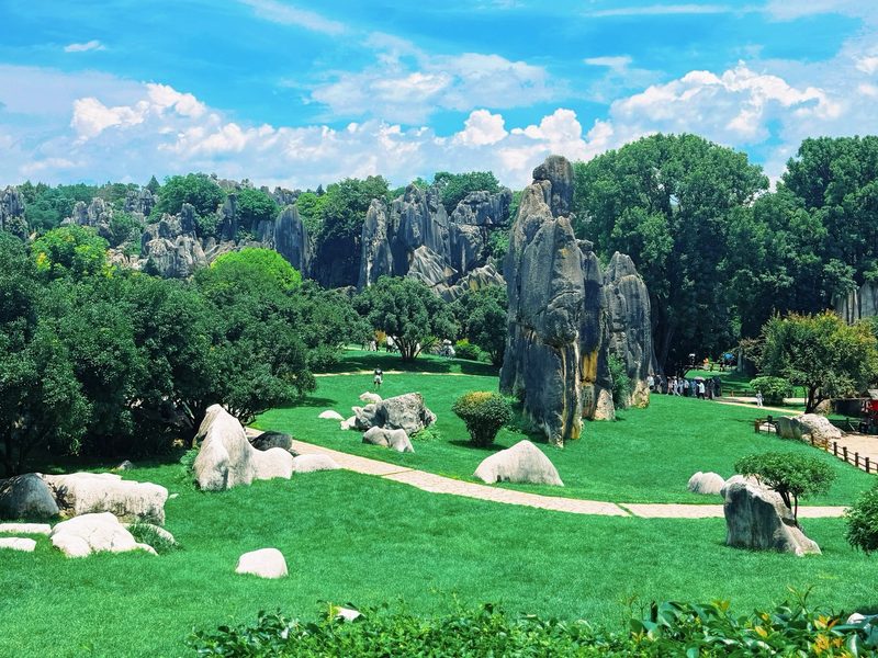 Stone Forest